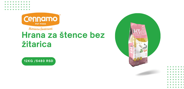 Hrana za pse bez zitarica